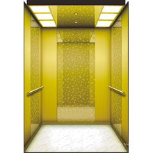 Mrl Passenger Elevator with Luxury Decoration Lift Cabin